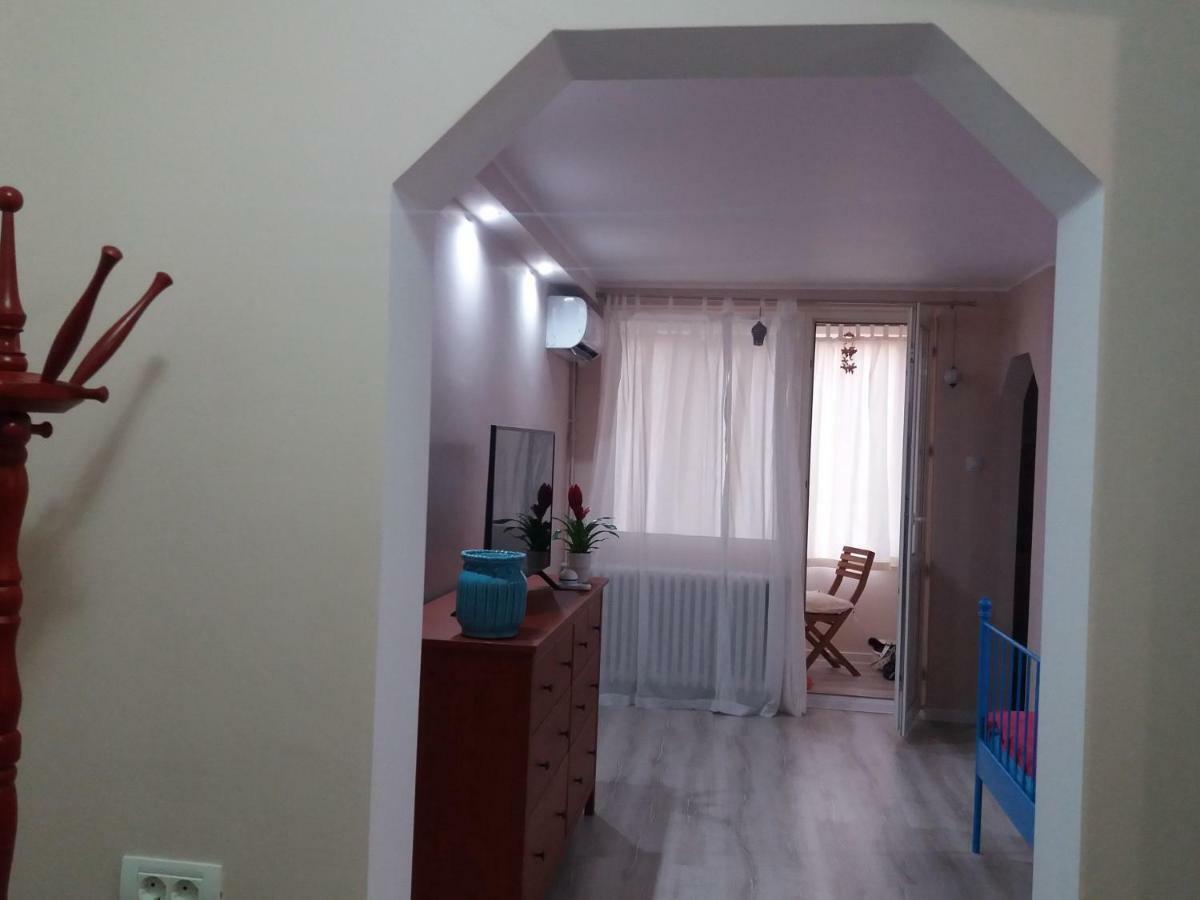 Skyline Central Apartment Timisoara Exterior foto