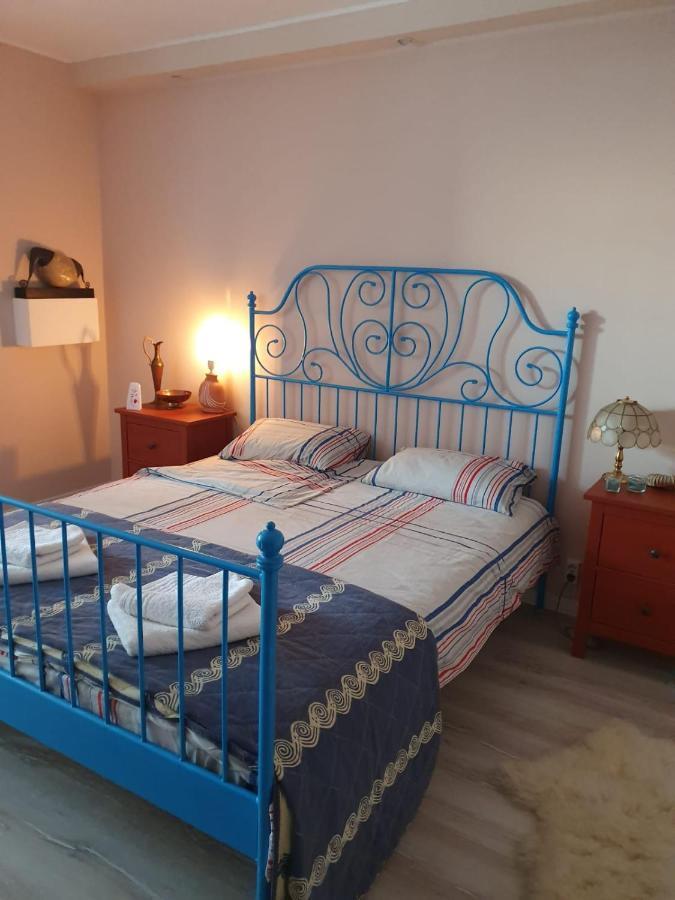 Skyline Central Apartment Timisoara Exterior foto