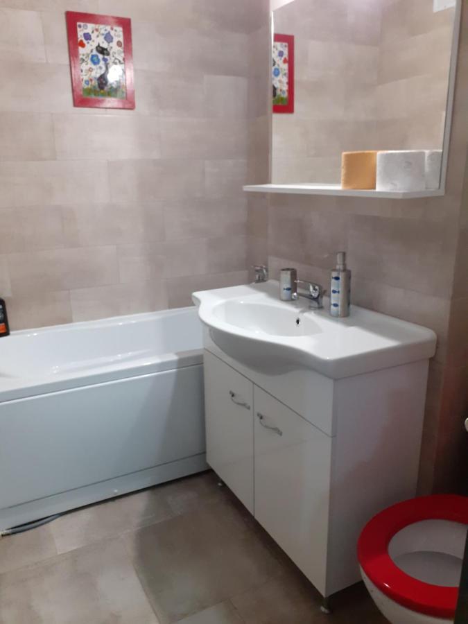 Skyline Central Apartment Timisoara Exterior foto